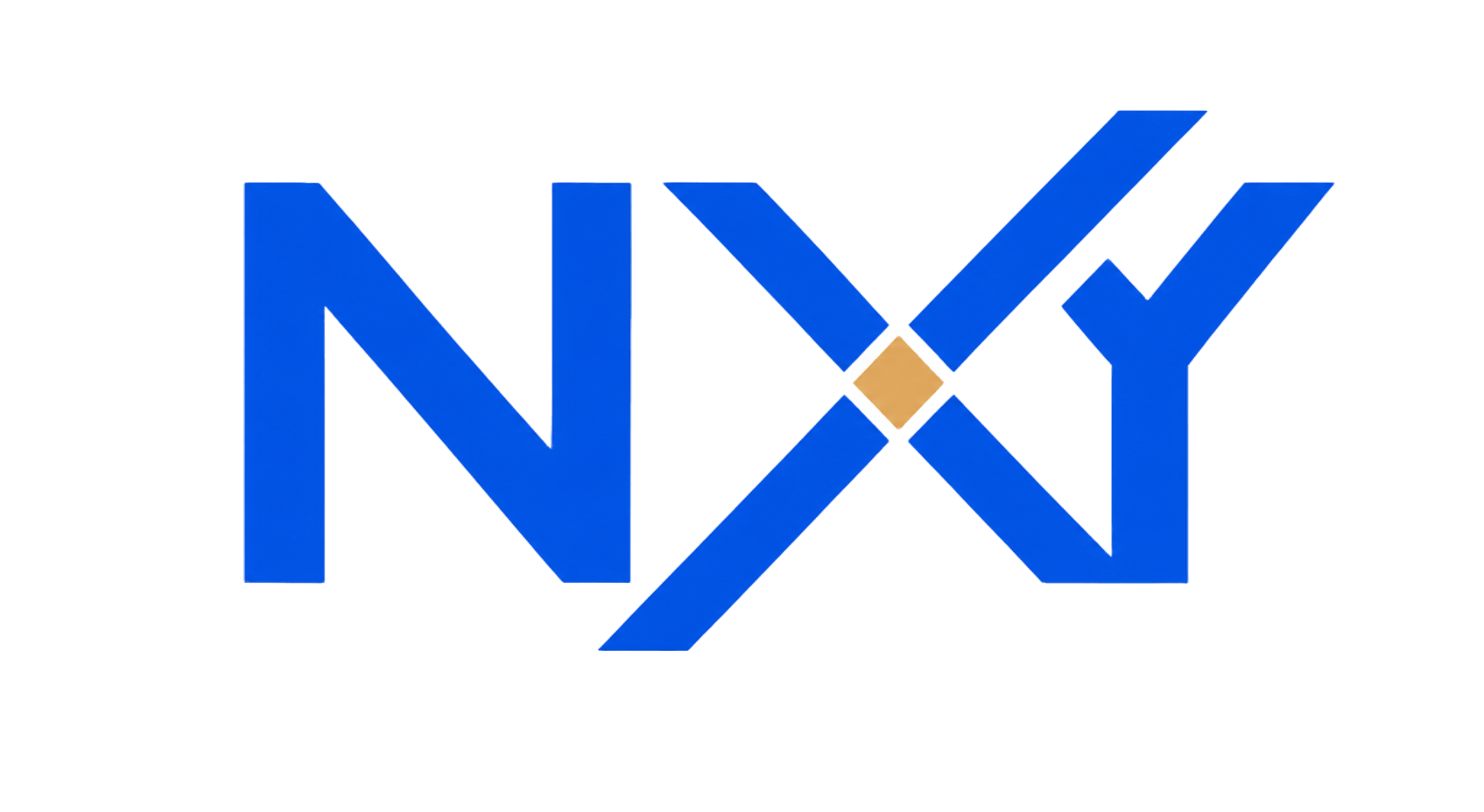 NXY logo icon